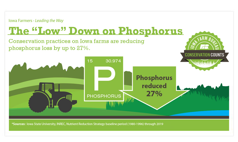 Download The “Low” Down on Phosphorus infographic
