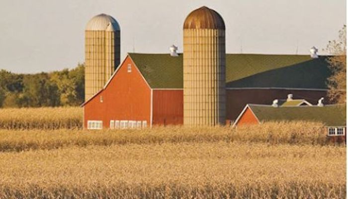 Acreage shifts expected in 2019