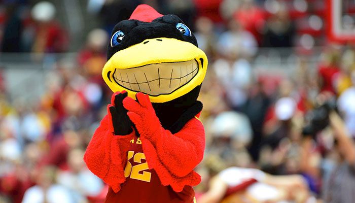 Holding court: SIUE win celebrates mascot's birthday