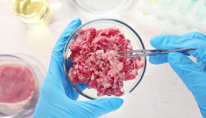 Question: What is lab-grown meat, and how does it compare to real