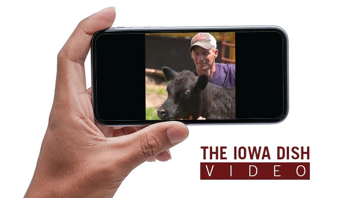 Iowa Dish Video: Cattle are "upcyclers" – creating a regenerative cycle on the farm | Real Farmer Colin Johnson
