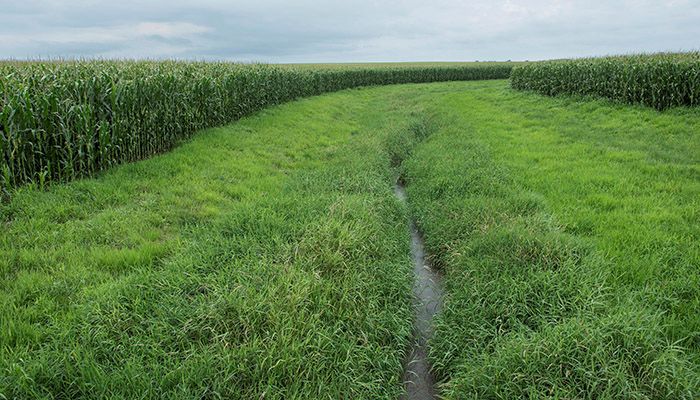 Farmers take “stalk” in conservation (and more puns for Soil and Water Conservation Week)