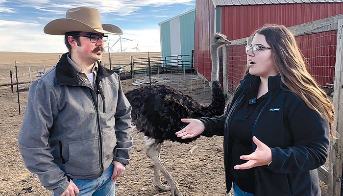 FarmChat offers glimpse of life on an Iowa farm 