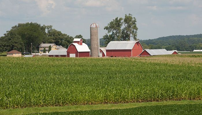 USDA Forecast a Downward Trend in the 2024 Farm Income 