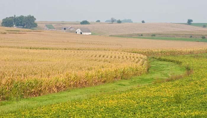 Regional farmland values up 6%, Iowa sees first decline in 5 years 