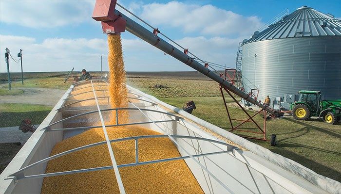 Northeast Iowa Yields Down Depsite Record US Corn Yields