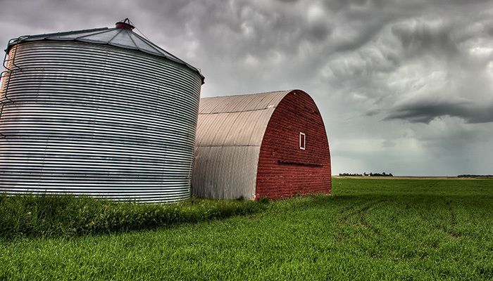 The Economic Outlook & Your Farm        