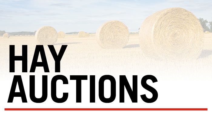 Hay Auctions 7-3-2024 