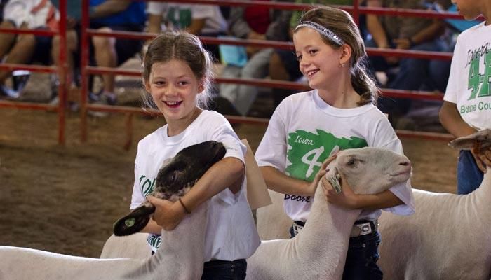 2874 4-H and FFA Exhibits Entered for 2024 Clayton County Fair