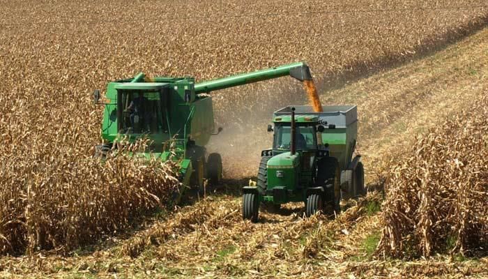 Iowa grain indemnity assessment to continue 