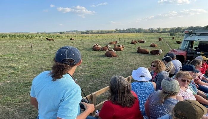 Northeast Iowa pasture walk focuses on fall management and weaning strategies 