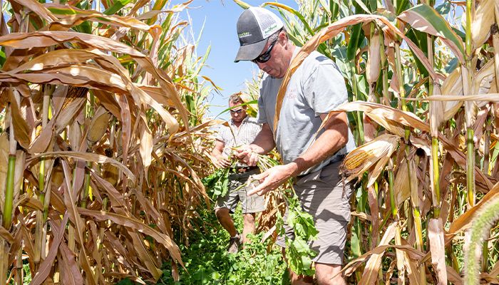 Maxwell Farms named Conservation Farmer of the Year 