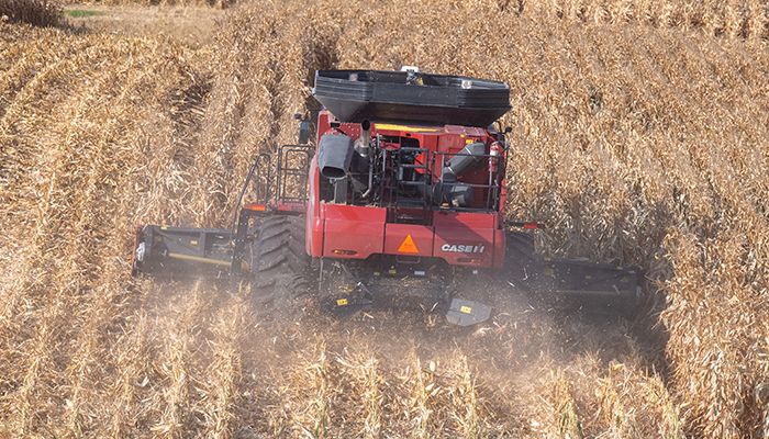 Harvest