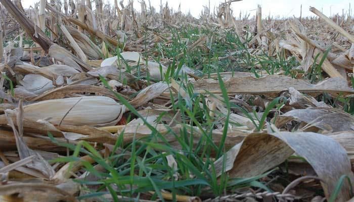 Johnson County farmers demonstrate commitment to conservation