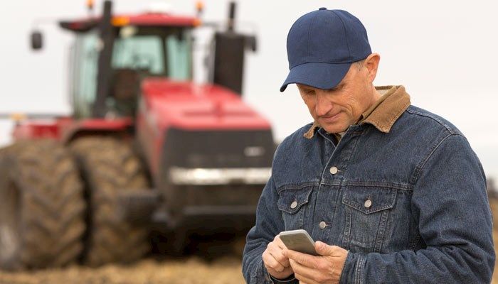 Compare grain prices near you with Iowa Farm Bureau’s New Cash Bid Search Tool