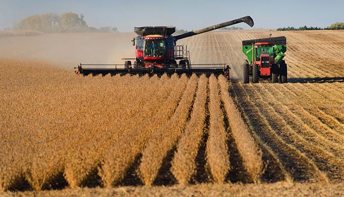 Governor extends harvest weight limit exemption