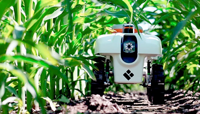 Weed robot an economic consideration 