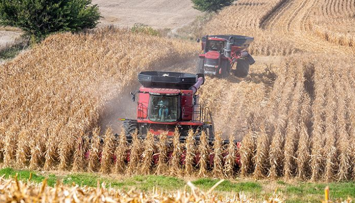 Iowa Farm Bureau to Host Webinar on Post-Harvest Marketing Strategies