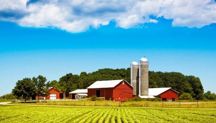 File farm ownership report by Jan. 1 to avoid penalties 