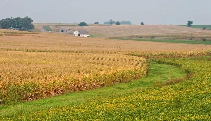 Woodbury County triggers ARC payment for 2023 crop losses 