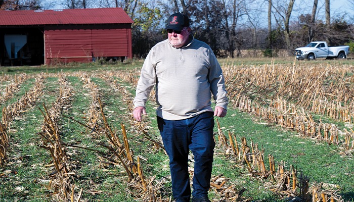 Late fall rain quenches thirsty cover crops 