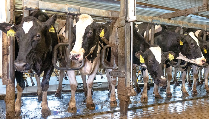 USDA finalizes milk reimbursement rules 