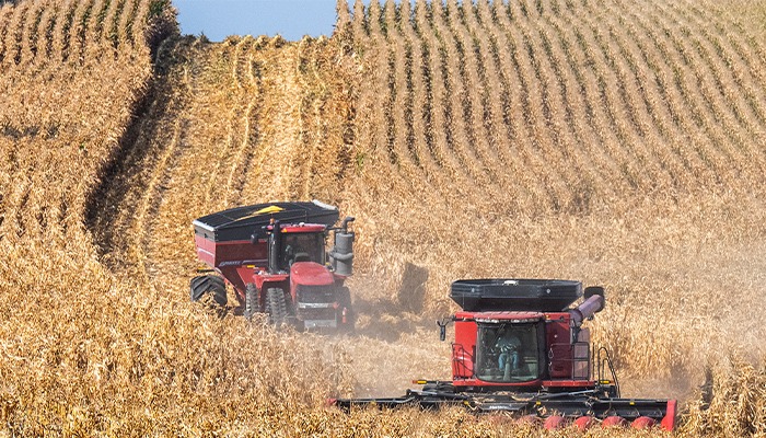 Ag downturn spurs layoffs, economic strain in Iowa