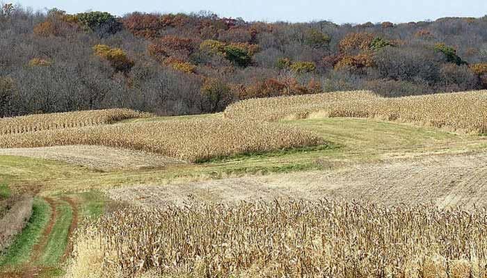 Upcoming conservation field days | November 29 update