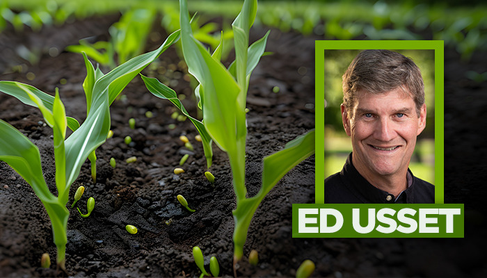 Corn with Ed Usset