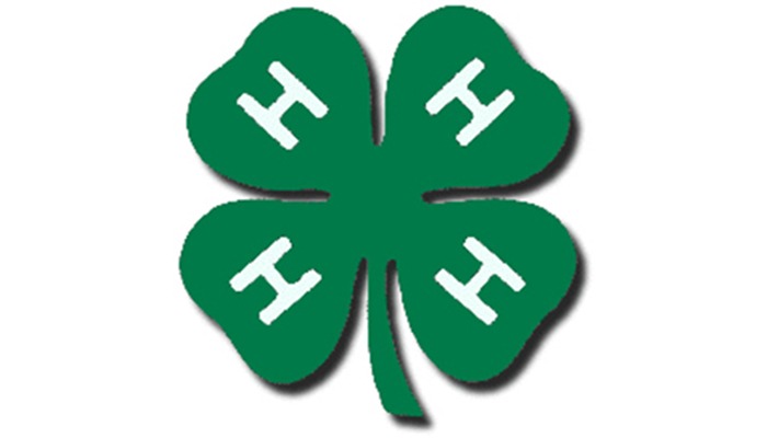 Des Moines County 4-H Community Dinner and Live Auction 