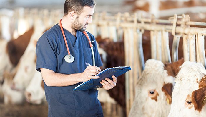 Iowa Farm Bureau Federation announces rural veterinarian loan incentive repayment program