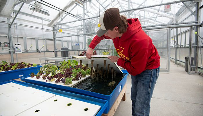 Jump-start your school garden with school garden 101