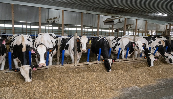 Iowa now included in USDA’s milk testing program 