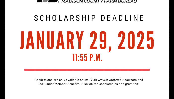 IFBF offers scholarships