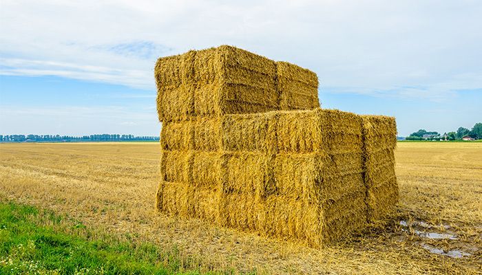 Eastern Iowa Hay Producers Association Meeting Mar. 20