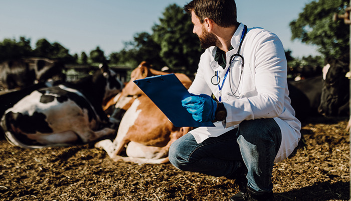 veterinarian