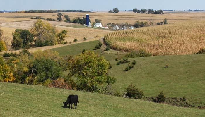 USDA Forecasts an increase in Farm Income in 2025