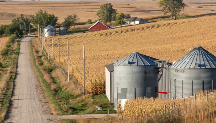 Chapter 12 farm bankruptcy filings up 55% in 2024 