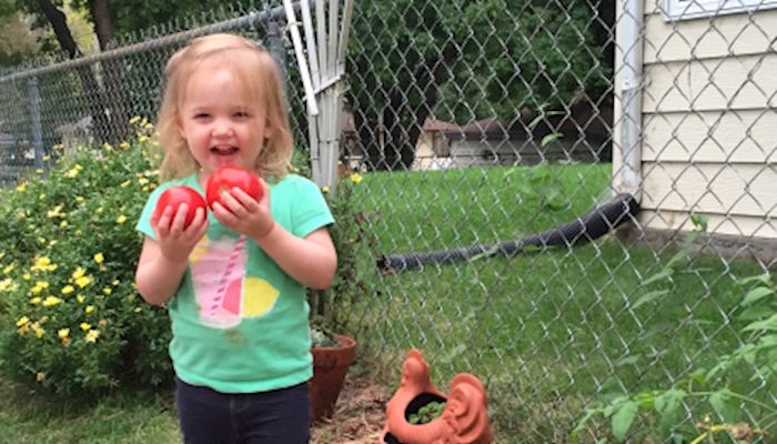 Growing tomatoes and a toddler