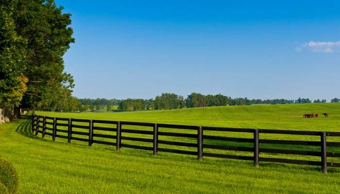 Iowa Fence Law Information