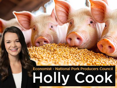 2025 Hog Market Update & Outlook with the National Pork Producers Council